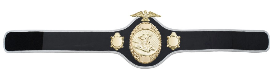 MMA CHAMPIONSHIP BELT- PRO288/G/MMAG - 10 COLOURS MMA CHAMPIONSHIP BELT- PRO288/G/MMAG - 10 COLOURS